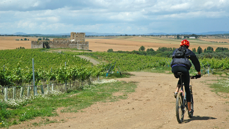Portugal Slott & Vinrute